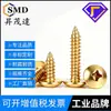 Tornillos autorroscantes de cabeza plana y de cruz chapados en oro, cabeza de paraguas, cabeza redonda, cabeza de hongo, punta de cola afilada de cabeza de cruz para madera M3M4M5M6
