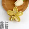 Grampo de Cabelo Popular de Frangipani para Estilo de Férias na Praia, Padrão Gradiente Simples, Penteado Semipreso para a Parte de Trás da Cabeça, Presilha de Tubarão para Mulheres