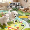 Alfombrilla de Agua Popular para Mascotas Transfronteriza, Alfombrilla de Agua de PVC Ecológica para Gatos y Perros, Esterilla Refrigerante de Verano, Almohadilla de Hielo de Dibujos Animados