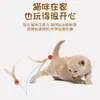 Juguete para Gatos Pelota Elástica para Entretenimiento Propio y Alivio del Aburrimiento, Modelo Nuevo Pelota Deportiva con Plumas para que los Gatos Gasten Energía