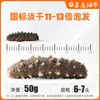 Pepino do Mar Seco Autêntico Grau Três Norma Nacional de Dalian, Pepino do Mar Seco de Liaoning, Pepino do Mar com 12 Vezes a Taxa de Expansão, Direto da Fábrica de Origem, Disponível para Atacado