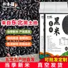 Nuevo arroz negro de temporada del noreste, granos gruesos, cinco granos, granos varios, arroz fragante, arroz integral, cocinar gachas, arroz, gachas de arroz negro, 5 jin/bolsa, venta al por mayor del fabricante