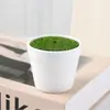 Macetas Pequeñas Hechas a Mano para DIY, Macetas de Plástico con Torcedura de Hilo de Ganchillo, Plantas Suculentas, Plantas Verdes de Escritorio, Macetas