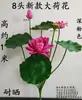 Flores de Loto Simuladas, Hojas de Loto Falsas para Estanques, Nenúfares para Paisajismo, Decoración para Acuarios, Accesorios para Espectáculos de Danza, Flores Artificiales de Alta Gama