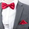 Juego de Toallas de Bolsillo Multicolor para Banquetes de Negocios de Hombres Boda Lazo de Boda Padrino Novio Accesorios de Vestir para Hombres