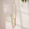 Estilo Europeo Colgante de Pared Decorativo Creativo Jarrón de Vidrio para Sala de Estar Planta de Rosa Verde Colgante de Pared Recipiente de Agua Decoraciones de Pared