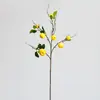 Galhos de frutas artificiais altamente realistas, plantas verdes, macieiras para jardinagem, paisagismo e decoração de pousadas, hotéis e vitrines