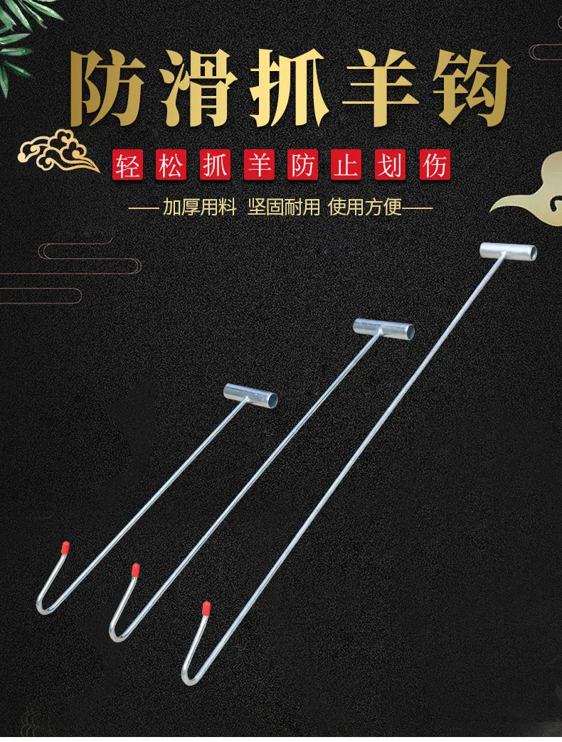 详情_01.jpg