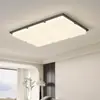 [Wow] Lámpara de Techo Moderna Simple Elegante 2025 Nuevo Paquete de Iluminación para Toda la Casa Luz Principal Creativa para Vestíbulo