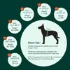 Roupa personalizada para recuperação de cirurgia de esterilização de cães, para proteger feridas e fornecer proteção abdominal para animais de estimação feridos