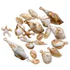 Colgantes de acrílico beige con forma de concha y caracola, ideales para manualidades. Accesorios para pulseras y collares.