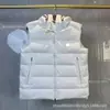 Comercio Exterior Transfronterizo Ropa Unisex Estilo Mongol para Parejas Otoño e Invierno Casual Versátil con Capucha con Letras Diseño Chaleco Acolchado