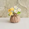 Bolsa de la Suerte Tejida a Crochet Hecha a Mano Transfronteriza Plantas Pequeñas en Maceta Muebles para el Hogar Decoración de Rosa Tejida de Lana Plantas en Maceta Flor Simulada