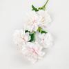 Flores Artificiais Xiangnai'Er para Casamento, Decoração de Celebração em Casa, Decoração de Hotel ao Ar Livre, Adereços para Fotos, Buquê de Flores Secas