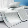 Tapete Gelado de Seda de Gelo para Verão Doméstico 2026 Novo Estilo Lavável à Máquina Tapete Macio Classe A Mãe e Bebê Refrescante Lençol de Cama de Verão Cobertura de Cama 1