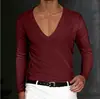Serie de Ropa de Verano para Hombre Europea y Americana Transfronteriza 2024 AliExpress Amazon Estación Independiente Nueva Camiseta Lisa de Cuello en V