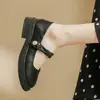 Novos sapatos Mary Jane estilo chinês inspirados na Chanel para mulheres, novos sapatos versáteis de outono 2026, sapatos Mary Jane de corte baixo e delicados
