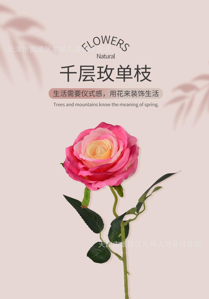 详情_01.png