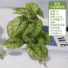 Pegamento Blando de Taro Simulado Siente Hojas Falsas Paisajismo Colgante Pared de Fondo de Pared Oficina Hotel Decoración de Pared de Plantas de Interior