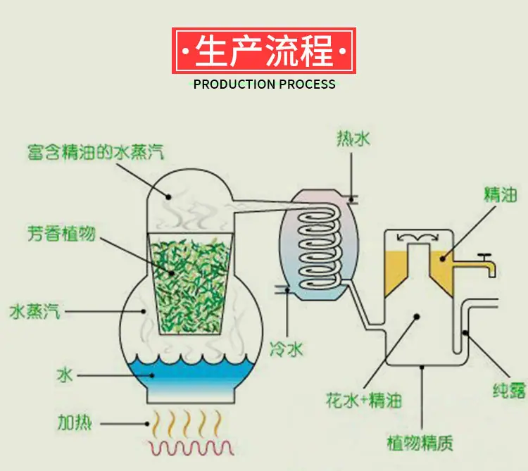 茶树精油2_04