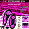 Lámpara de Crecimiento para Plantas USB Transfronteriza con Luz de Relleno Monocolor 5V 2835 con Espectro Completo Lámpara para Plantas Impermeable con Luz Púrpura