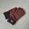 Outono e Inverno Veado Pelúcia Estilo Coreano Lazer ao Ar Livre Ciclismo Fleece Acolchoado à Prova de Frio Quente Tricô Jacquard Luvas Touch Screen