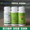 Ping'An Yudai Fungicida Especial para Plántulas Fupi Xiaomiao, Pudrición del Tallo de Árboles Frutales, Pudrición, Enfermedad de la Goma, Enfermedad de Rama y Tronco