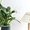 Rociador Creativo de Vidrio para Regar en Forma de Cactus, Hongo y Pájaro, Herramienta de Riego Automático para Personas Perezosas