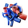 Manguera de silicona para automóvil, tubo de alambre trenzado, tubo de vacío, abrazaderas de vapor, abrazaderas dobles de alta y baja temperatura y alta presión, tubería de agua