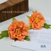 Pintura al Óleo Simulada de Peonías Peonía Estilo Tang Pequeño Tocador de Cabeza en Forma de U Dinastía Han Producción Bandera de Vestuario Antiguo Cabezal DIY Caja de Flores