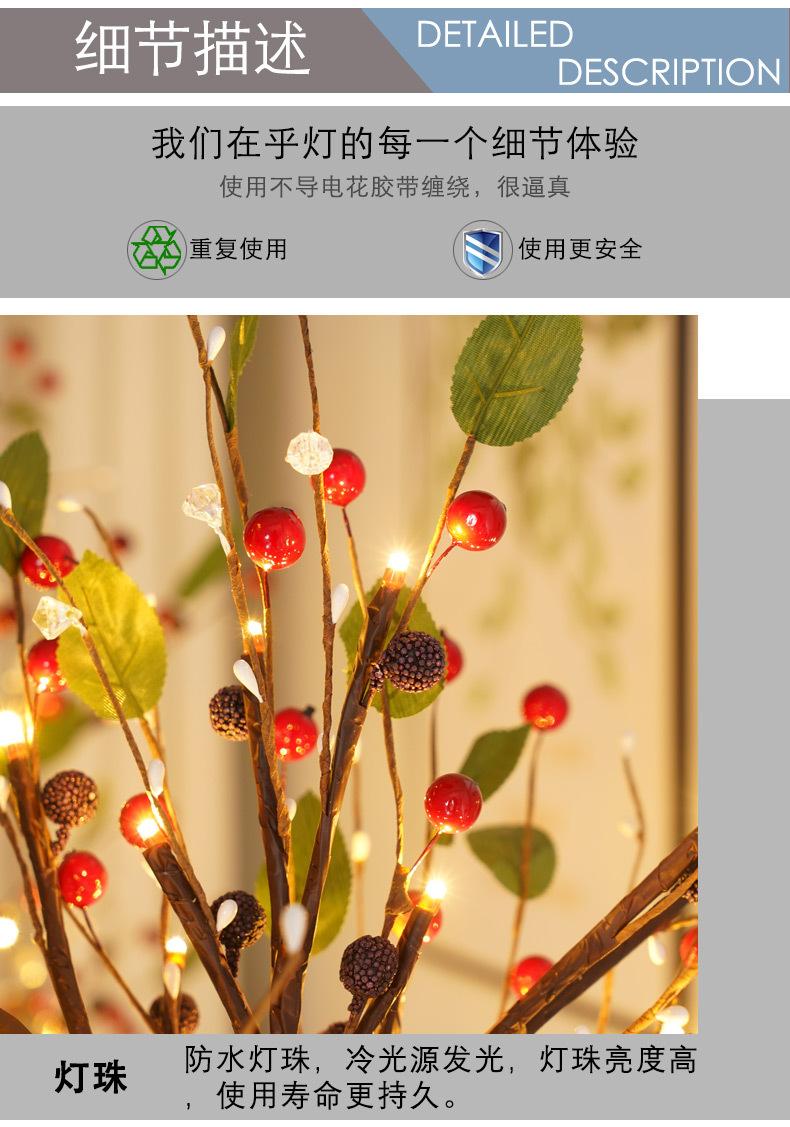 红果树灯尚佳_11.jpg