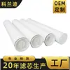 Elemento Filtrante de Alto Flujo de Repuesto Pall Elemento Filtrante Plegable de Agua Pallpp Filtro de Seguridad Elemento Filtrante Plegable de Alto Flujo