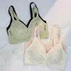 Cómodo Transpirable Tirar Hacia Arriba Sexual Ropa Interior Espalda Sin Aro de Acero Ajustable Pechos Paramamarios Pecho Pequeño Sujetador Push-up