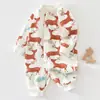 Ropa para Recién Nacidos Primavera y Otoño Mamelucos de Manga Larga para Bebé Algodón Puro Categoría a Pijamas Ropa Interior Básica para Bebé Gateo