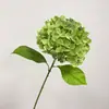 Alta simulación gran hortensia profundidad múltiples colores para hacer pared de propuesta más realista verano sin fin hortensia impresión 3D