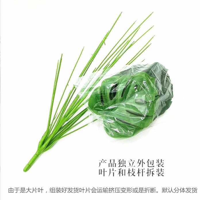 QQ截图20220529170845_副本