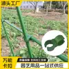 Clipes Giratórios para Treliça de Jardim, Clipes Universais, Estacas de Jardinagem, Acessórios de Plástico, Clipes de Fixação para Plantio de Flores