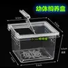 Caja Cuadrada Pequeña con Tapa Abatible para Mascotas Reptiles Caja de Cría de Arañas Mini Caja para Insectos Caja de Cría de Escorpiones Caja para Arañas Jóvenes