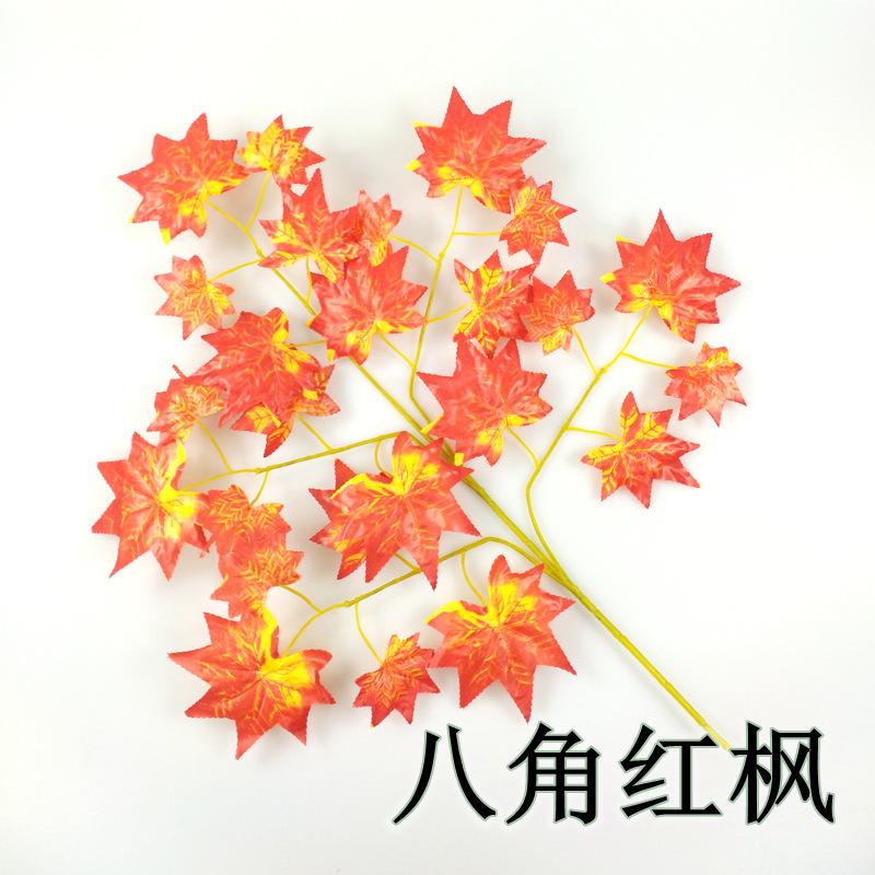 IMG_20180306_223922_副本.jpg