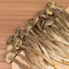 [Fábrica] Hongo Antler de Terciopelo 150g Delicias de Montaña No Silvestres de Yunnan Hongo Comestible Hongo Crujiente Fabricante Mayorista Oem Personalización