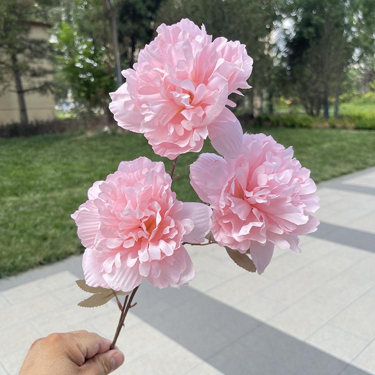 TeHui3大头涂层牡丹-sxzxx-粉色.JPG
