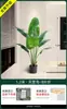2026 Flor de Ave del Paraíso Artificial Planta Verde Flor Falsa Decoración Sala de Estar Mueble de TV Interior Planta en Maceta Grande Planta Biomorfa de Gama Alta