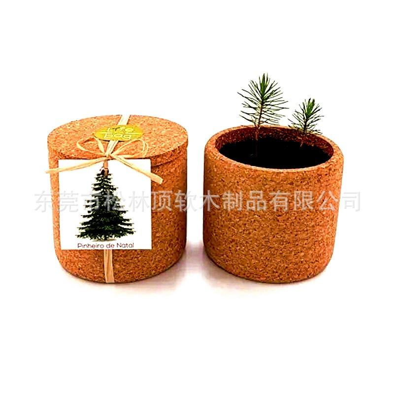 软木盆景绿植套件