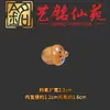 Bolsita de bellota, collar portátil de piña, colgante de aromaterapia, cadena de suéter Yiming Xianyuan, llavero, adorno para bolso, cadena de teléfono