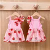 Saia de Gaze para Pet Vestido Fino de Verão para Cães Pequenos como Poodle, Teddy, Bichon, Yorkshire Terrier, e Gatos