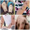 Estoque Pronto Atacado Conjunto de Adesivos de Tatuagem de Desenho Animado Infantil À Prova D'água Animal Pirata Dinossauro Adesivos de Tatuagem Tatuagem