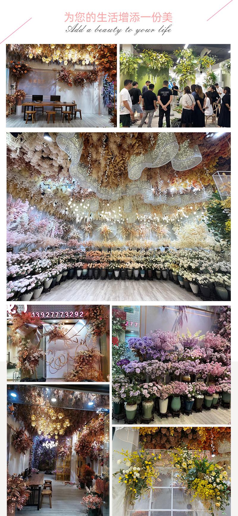 中号飞燕草-详情_01_03.jpg