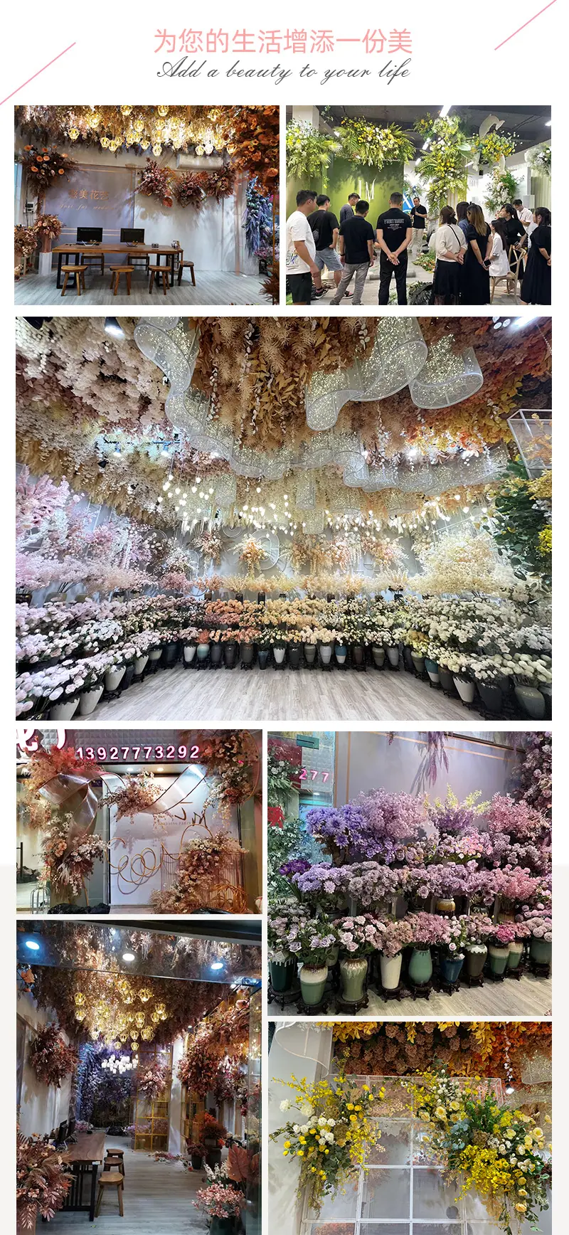 中号飞燕草-详情_01_03.jpg