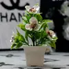 Plantas en Maceta de Plástico con Perlas Simuladas, Decoración Creativa para Plantas del Hogar, Plantas Verdes, Paisajes de Interior y Exterior, Adornos de Flores Artificiales en Maceta