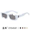 Gafas de Sol Europeas y Americanas Personalizadas con Ranura para Oreja Mismo Estilo Gafas de Sol Hip-Hop Tendencia Transfronteriza Gafas de Sol Estilo Urbano